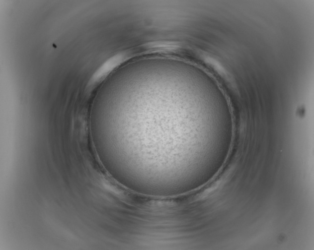 X0000092031354200709201603