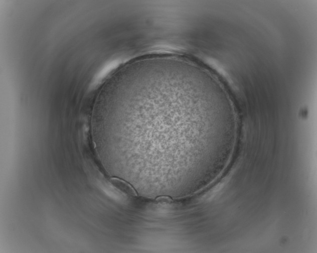 X0000092031355200709201603