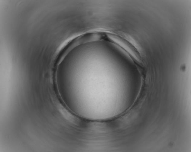 X0000092031356200709201603