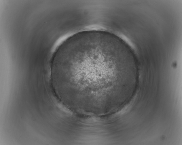 X0000092031358200709201603