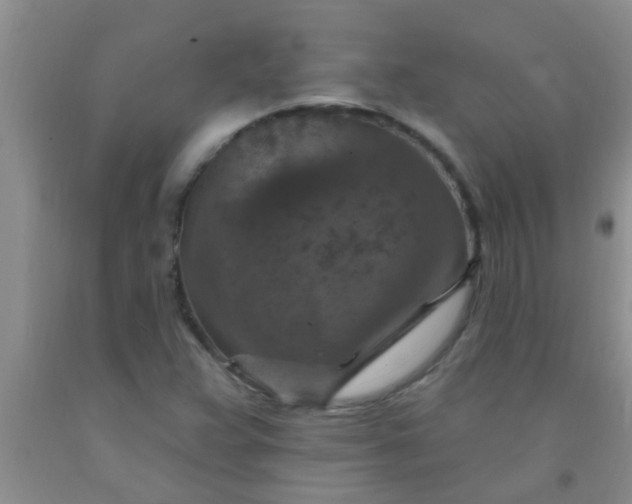 X0000092031359200709201603