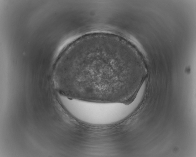 X0000092031360200709201603