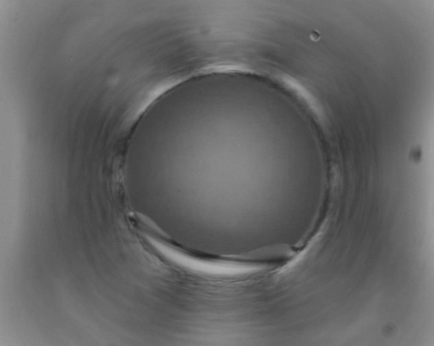 X0000092031361200709201603