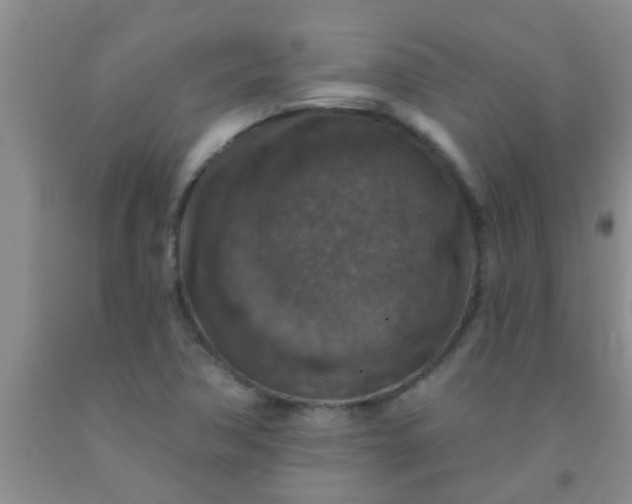 X0000092031362200709201603