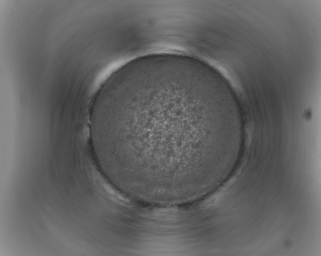 X0000092031363200709201603