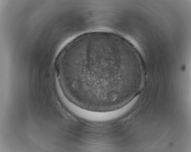 X0000092031364200709201603