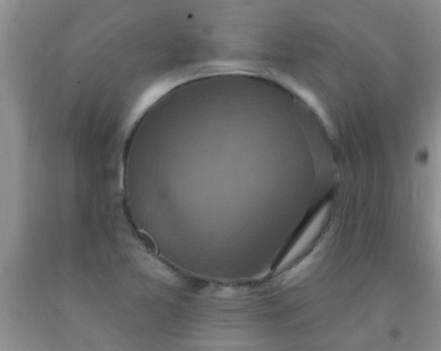 X0000092031365200709201603