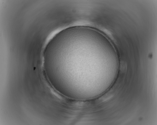 X0000092031366200709201603