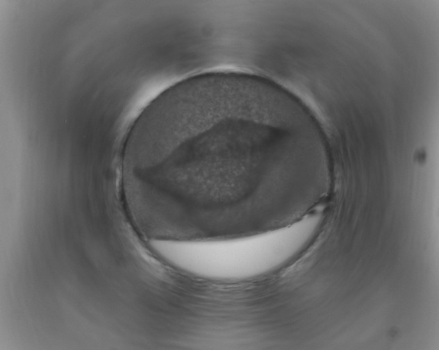 X0000092031367200709201603