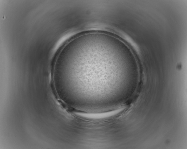 X0000092031368200709201603