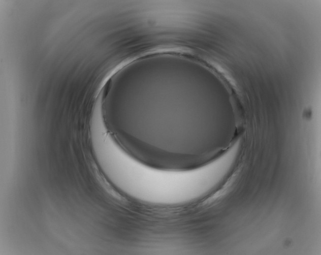 X0000092031369200709201603