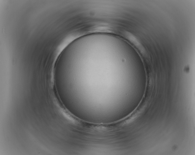 X0000092031370200709201603