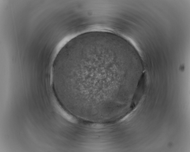 X0000092031371200709201603