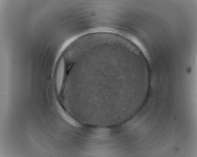 X0000092031372200709201603