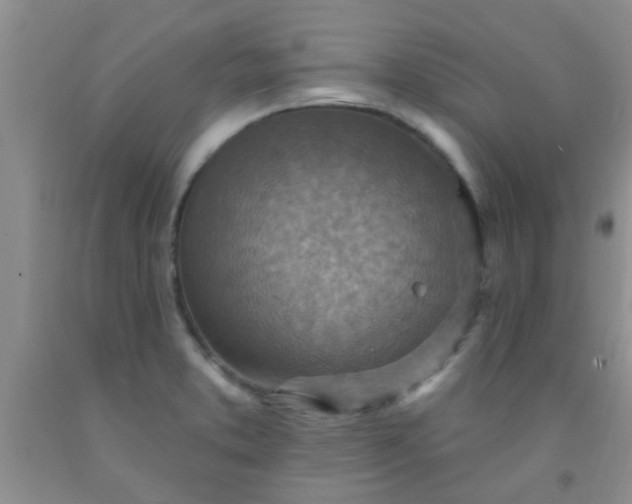 X0000092031373200709201603