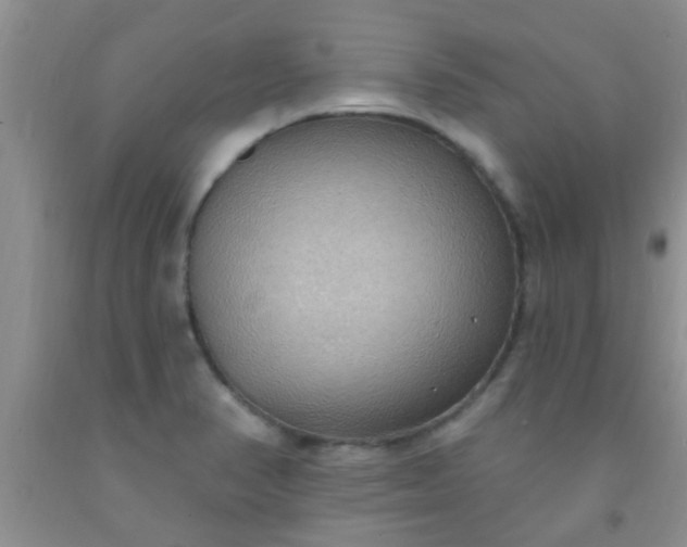 X0000092031374200709201603