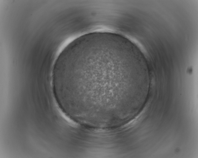 X0000092031375200709201603