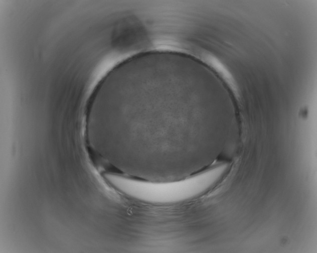 X0000092031376200709201603