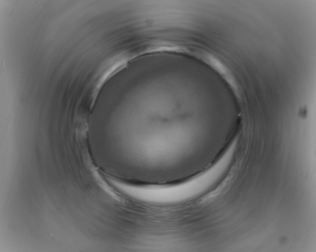 X0000092031377200709201603