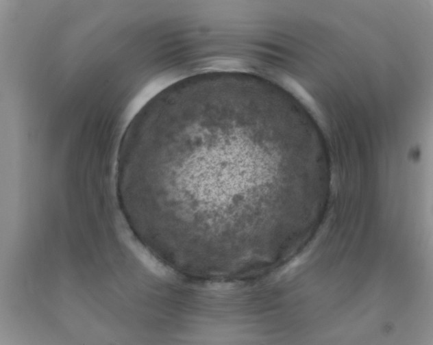 X0000092031378200709201603