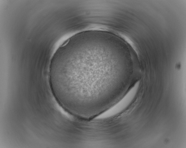 X0000092031379200709201603