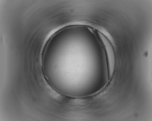 X0000092031380200709201603