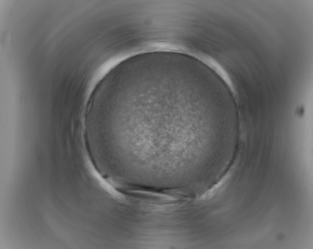 X0000092031381200709201603