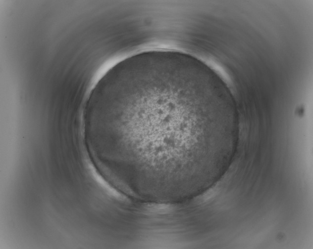 X0000092031382200709201603