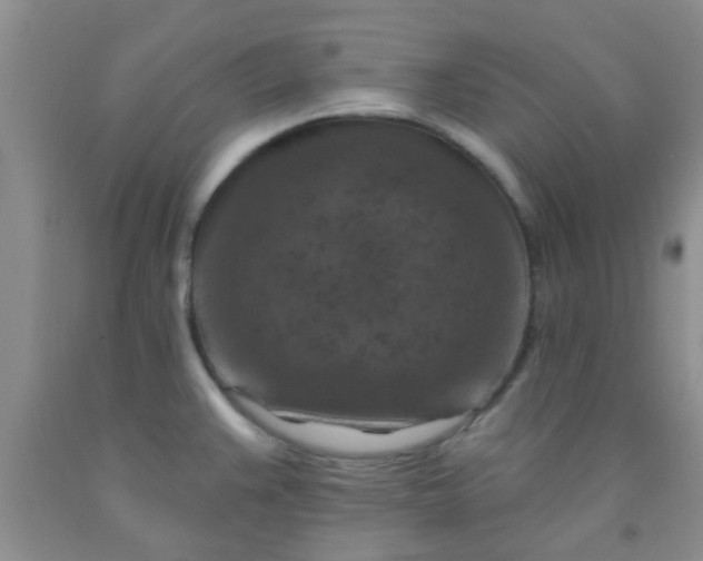 X0000092031383200709201603