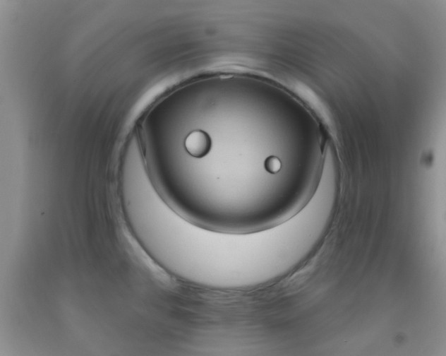 X0000092031384200709201603