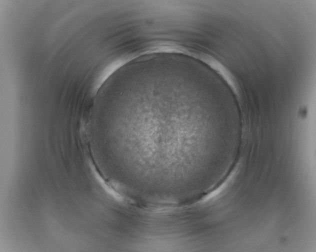 X0000092031385200709201603