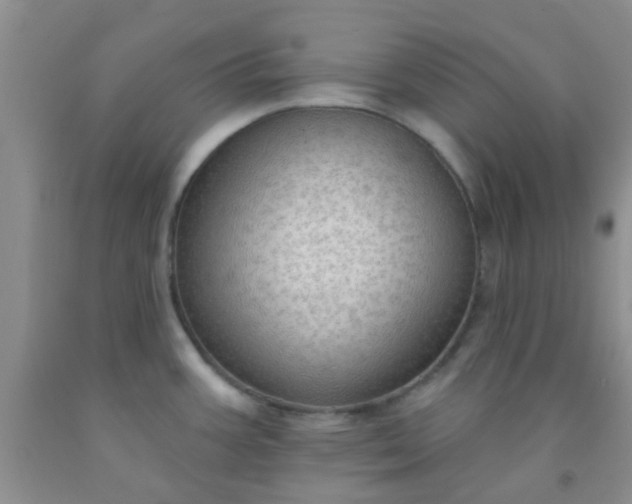 X0000092031387200709201603