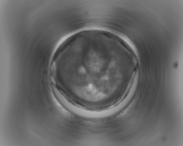 X0000092031388200709201603