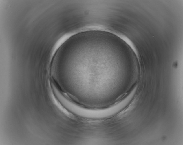 X0000092031389200709201603