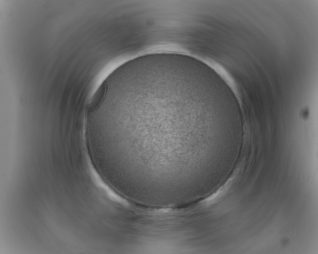 X0000092031390200709201603