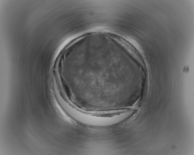 X0000092031392200709201603