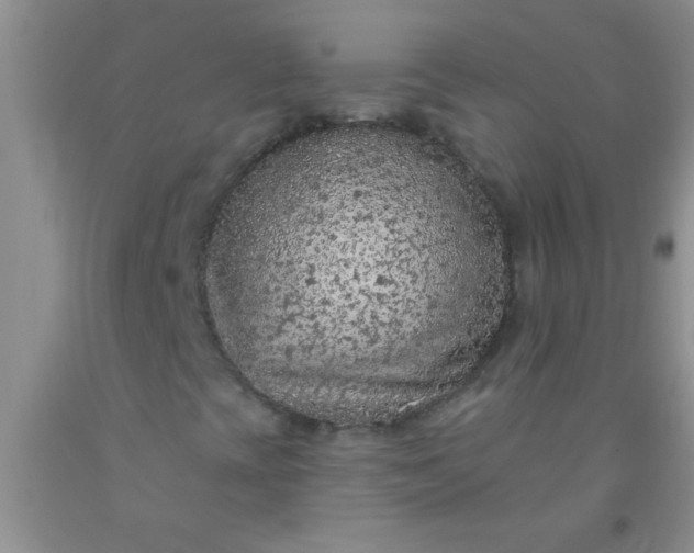 X0000092031393200709201602