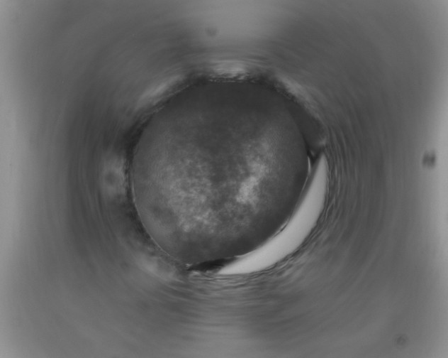 X0000092031394200709201602