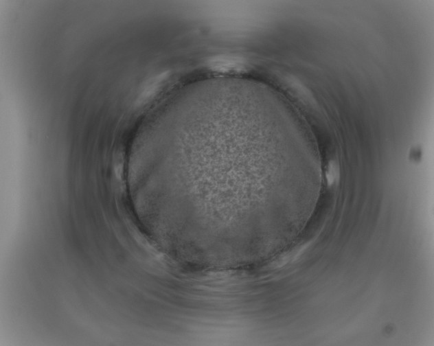 X0000092031396200709201602