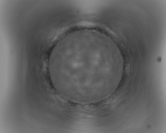 X0000092031397200709201602