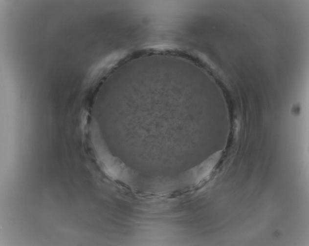 X0000092031398200709201602