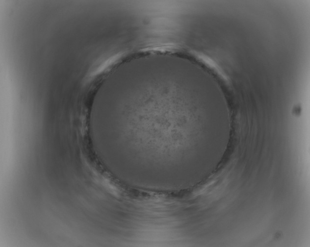 X0000092031399200709201602