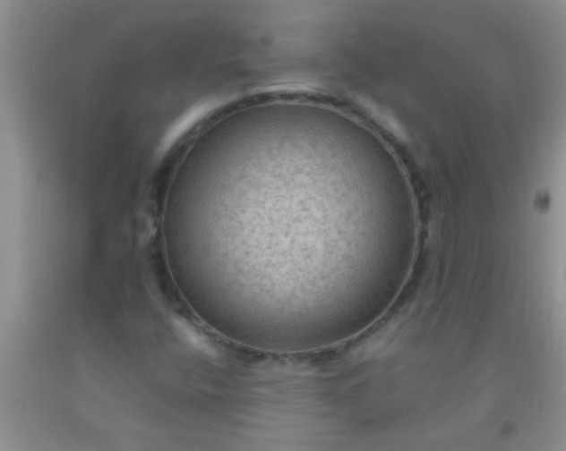 X0000092031400200709201602