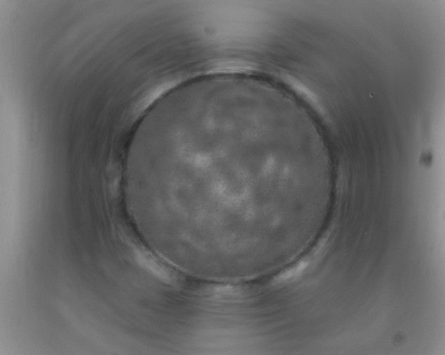 X0000092031401200709201602