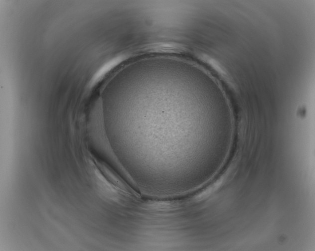 X0000092031402200709201602