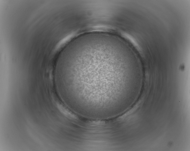 X0000092031403200709201602