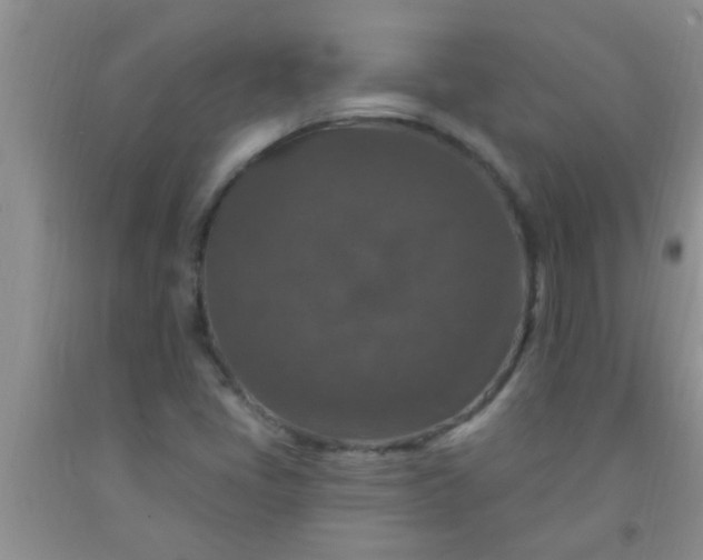 X0000092031405200709201602