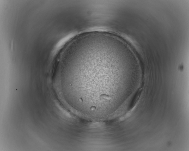 X0000092031406200709201602