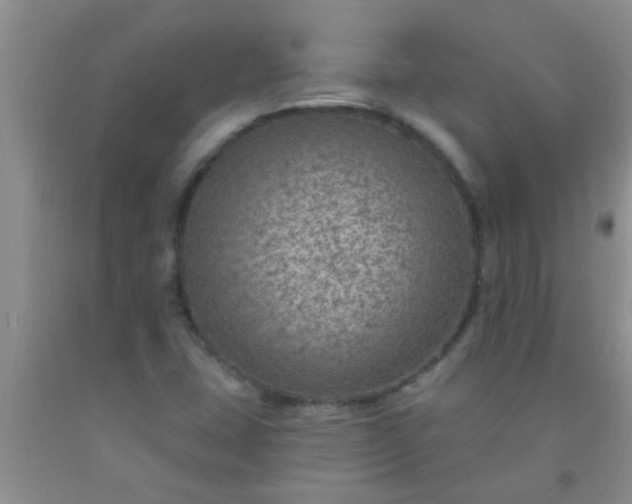 X0000092031407200709201602