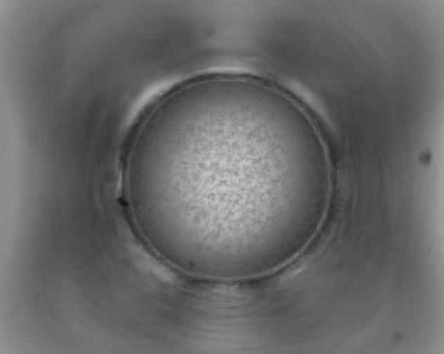 X0000092031408200709201602